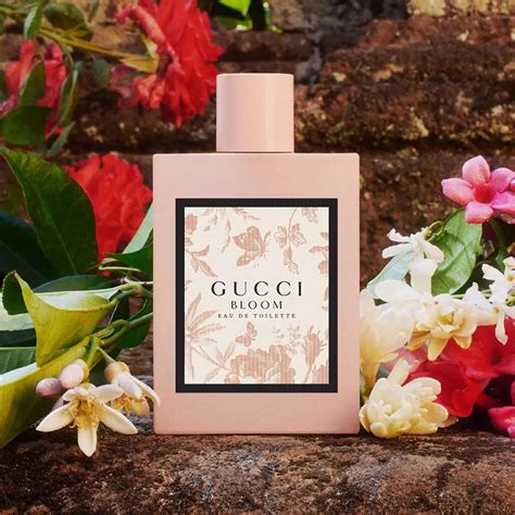 does gucci bloom smell good|Gucci Bloom perfumative.